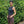 Sonia Shorts Pattern