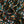 Rosy Pop - Bickington Viscose - Liberty Fabrics