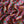 Tropical Cove  - Bickington Viscose -  Liberty Fabrics