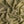 Sage Stretch Silk Georgette