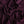 Last Chance of Nametag Plum Jersey