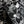 Prospect Flower Black Liberty Sycamore Linen