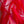 Remnant of Prima Organza Rosso - Silk Organza