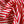 Deauville Stripe Red/Vanilla - Silk Twill