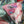 Porcelain Garden Silk Chiffon