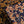Mitsi Mix Gold - Liberty Tana Lawn™