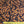 Mitsi Mix Gold - Liberty Tana Lawn™