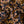 Mitsi Mix Gold - Liberty Tana Lawn™