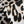 Leopard Gloss Stretch Technical Polyester