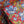 Archive Tulips - Liberty Tana Lawn