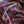 Peacock Posy Red - Liberty Tana Lawn