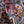 Maximilist - Liberty Tana Lawn