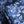 Regency Trail Navy - Bridgerton Collection  - Liberty Tana Lawn™