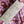 Regency Trail Plum - Bridgerton Collection  - Liberty Tana Lawn™
