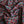 Faye - Liberty Tana Lawn