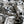 Studio Florals Natural - Liberty of London
