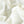 Asolo Ivory Cotton Drill