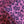 Rosalina Pink Crepe De Chine