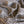 Neve Grid Silk Crepe De Chine