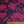 Magenta Floral Black/Fuchsia Silk Georgette