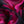 Magenta Floral Black/Fuchsia Silk Georgette