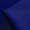 Electric Seta Stretch Silk Crepe De Chine