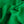 Loren Shamrock Linen