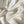 Aphrodite Ivory Satin
