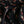 Plisse Giardino - Black/Floral Georgette