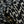 Plisse Bowie - Black/Ivory Georgette