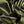 Chartreuse Silk Dupion