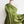 Chartreuse Silk Dupion