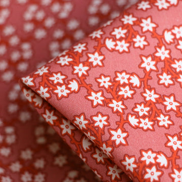 Gioia Clay Stretch Cotton