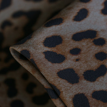 Last Chance of Felina C.D.C