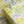 Wattle Song Printed Linen