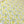 Wattle Song Printed Linen