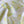 Bush Blossom Printed Linen