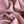 Fleece Tag Blush Brush Back