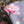 Misty Fleur Silk Satin