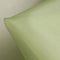 Apple Silk Organza