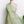 Apple Silk Organza