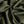 Mercerised Olive Cotton Knit