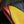 Abstract Study Silk Satin