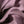 Zena Lavender Linen/Viscose Blend