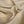 Lino Lurex Desert Sand/Gold Stripe