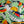 Tropicana Poplin Cotton