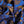Last Chance of Tabu Bluette Viscose