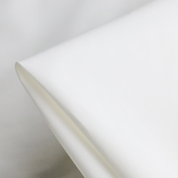 Leisel Off-white Shirting