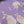 Rosette's On Lilac - Silk Organza