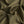 Khaki Cotone Voile